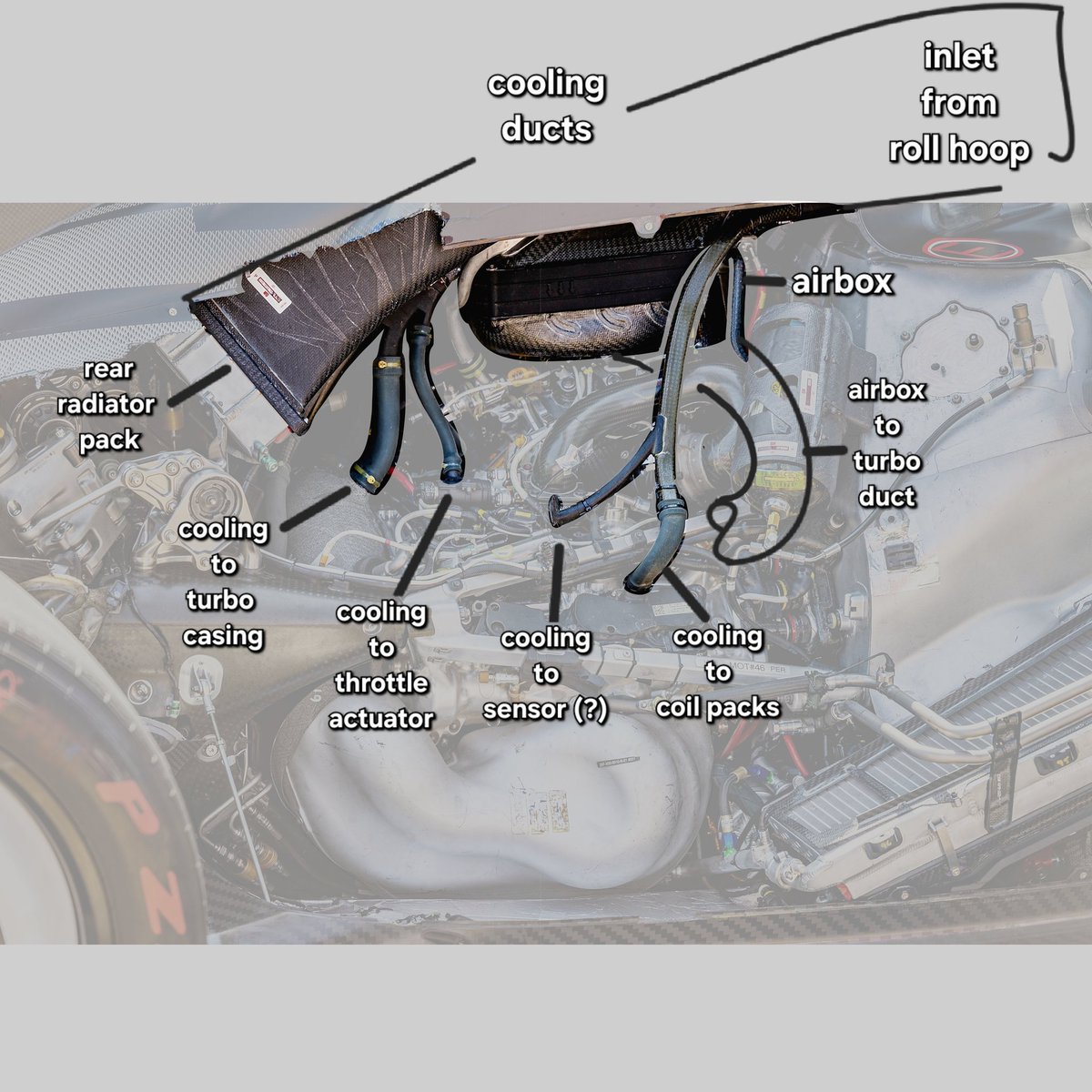 Craig Scarborough tweet media