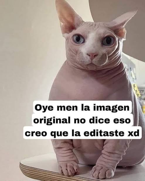 Erick🪴 tweet media