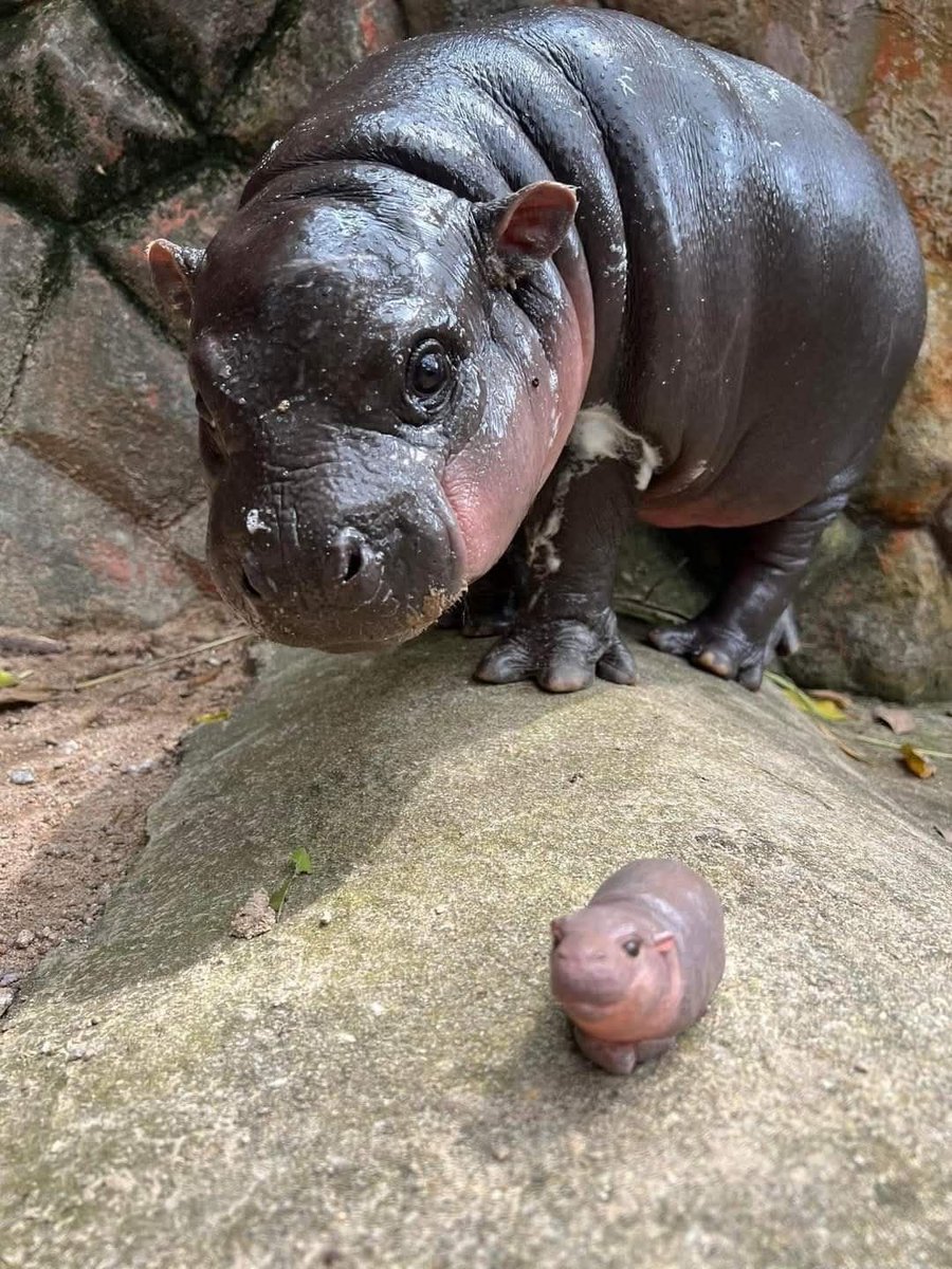 This acc will make u happy ✨ tweet media