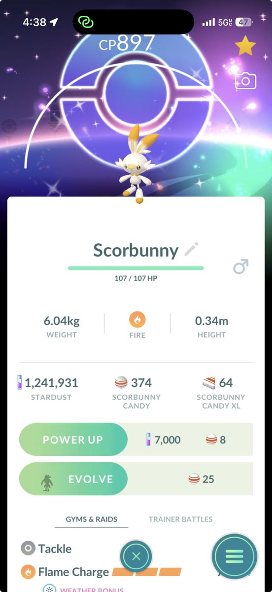 Jason Marino tweet media