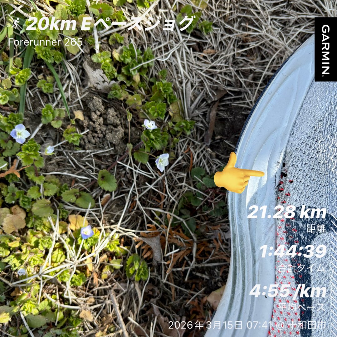 やーたか@鍛錬期 tweet media