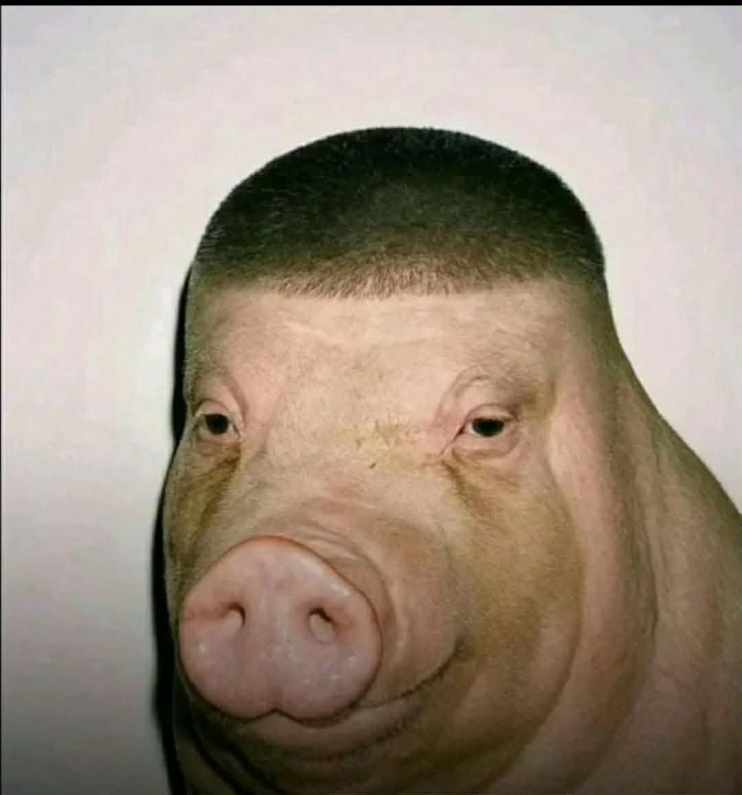 Hakishy _TFN tweet media