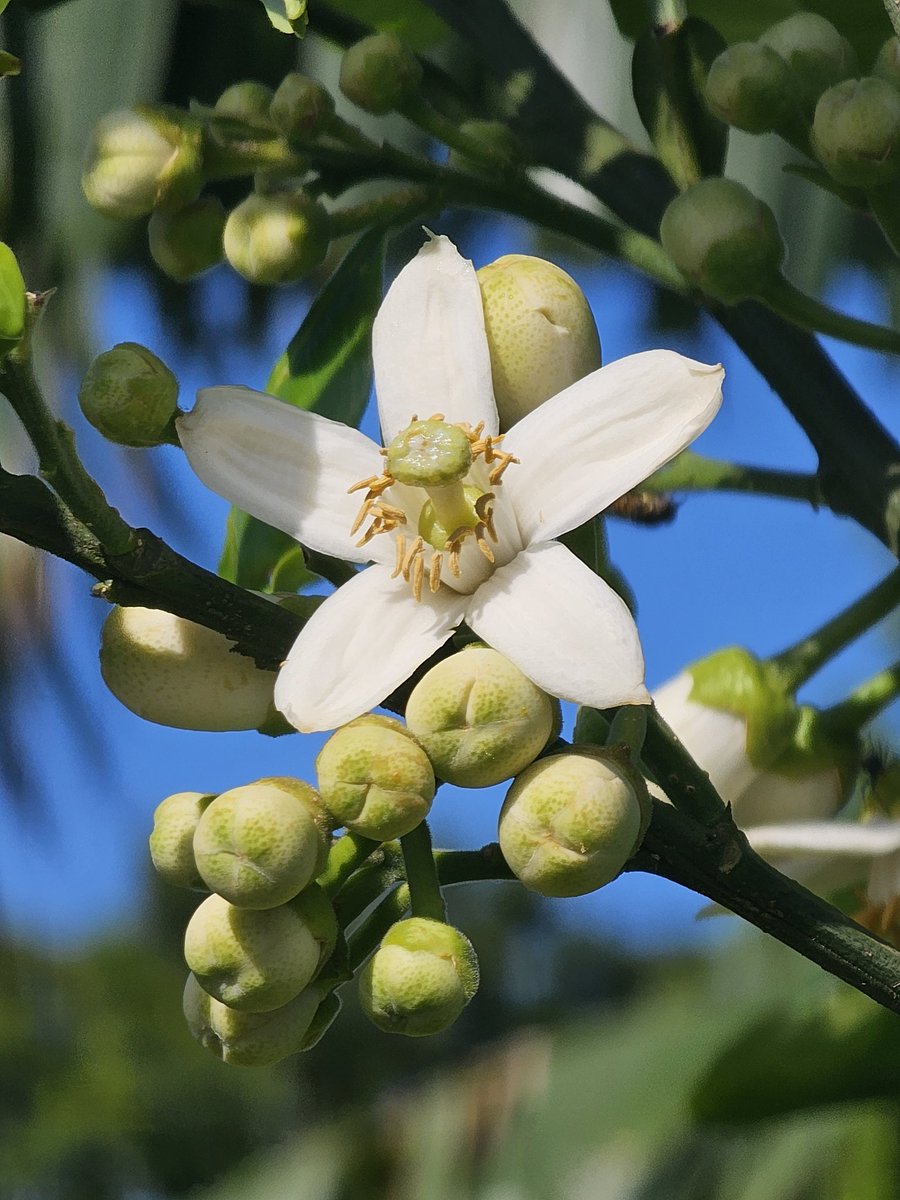 Andrew Brindle tweet media