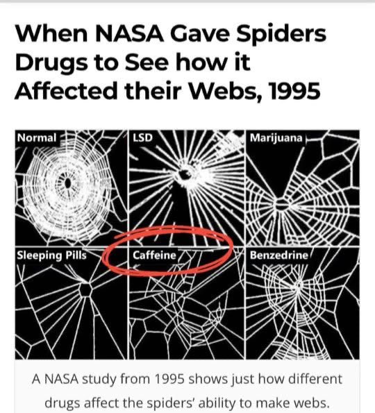 Jason Christoff tweet media