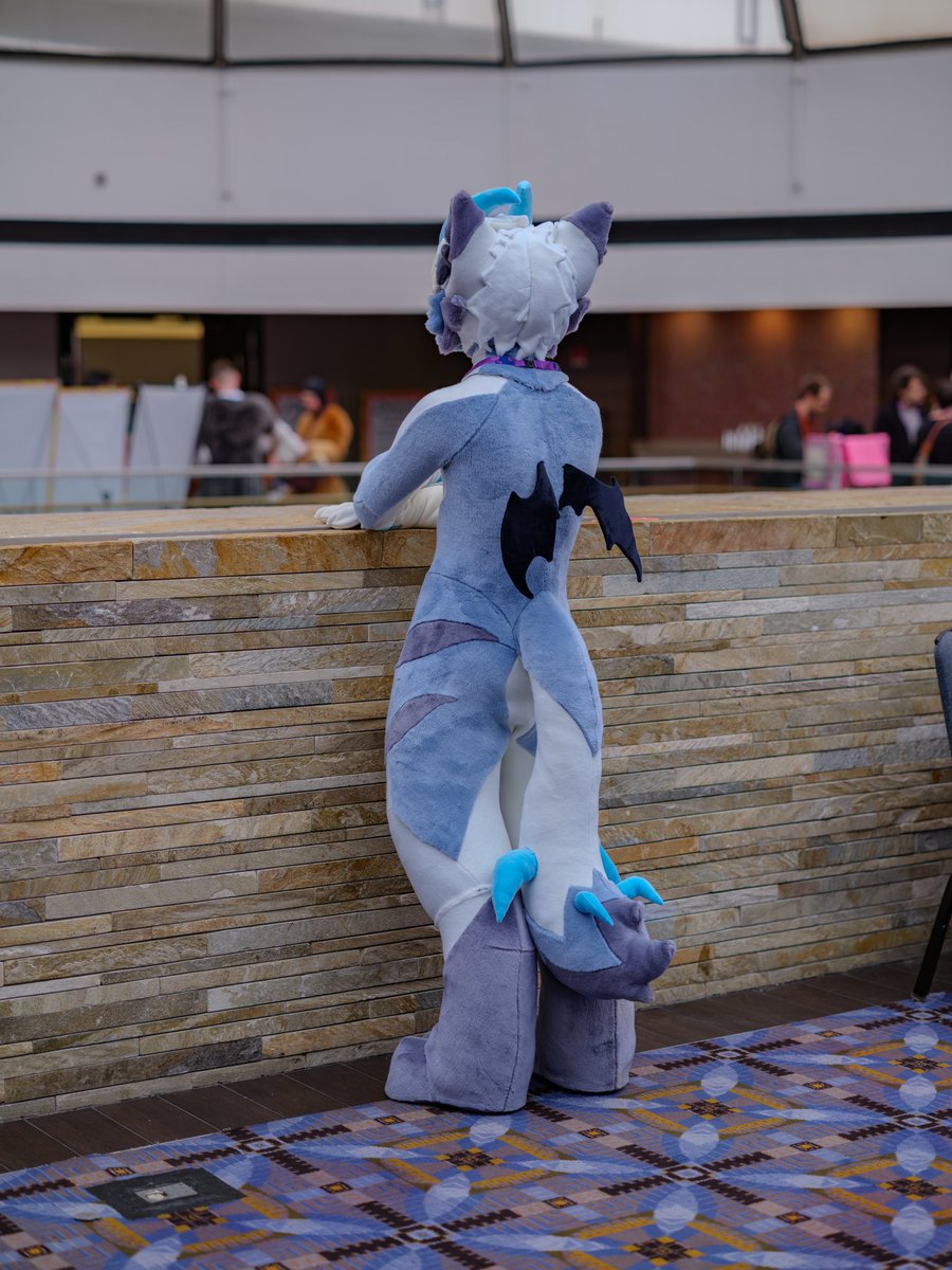 lucas 🔜 FWA, AC tweet media