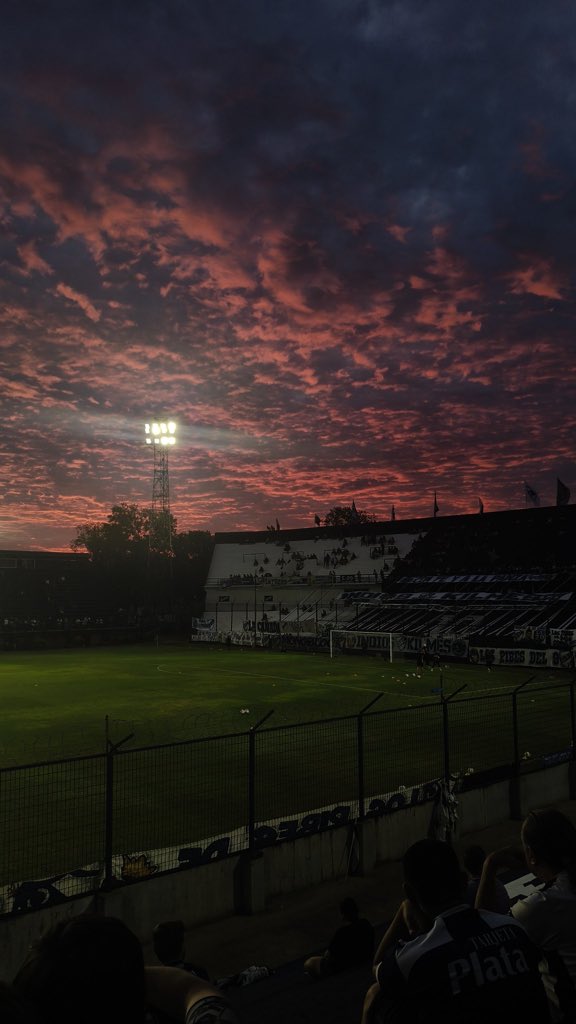 ParalyticsQAC tweet media