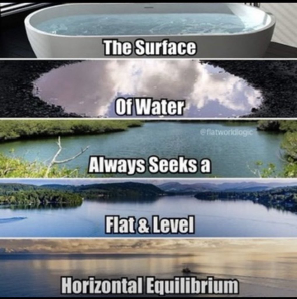 PLAIN To SEE tweet media