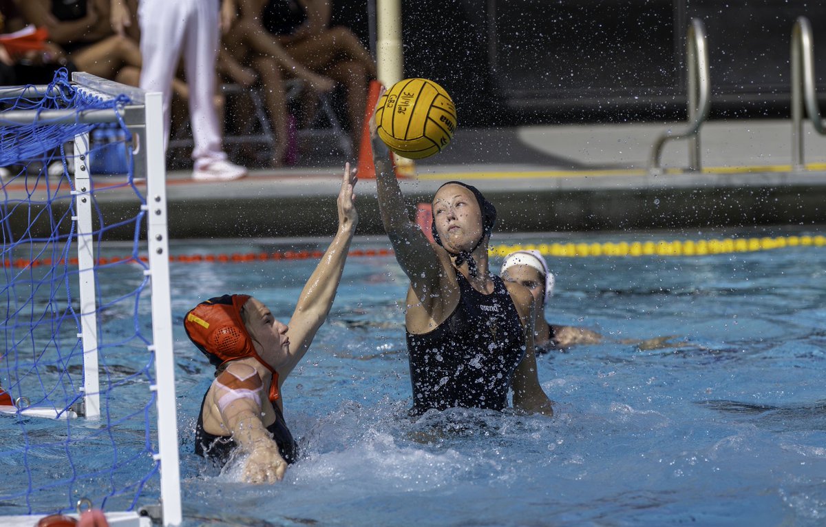 Andy Silvas Photography tweet media