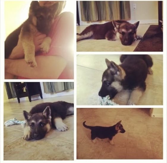 Andrew McCarthy tweet media