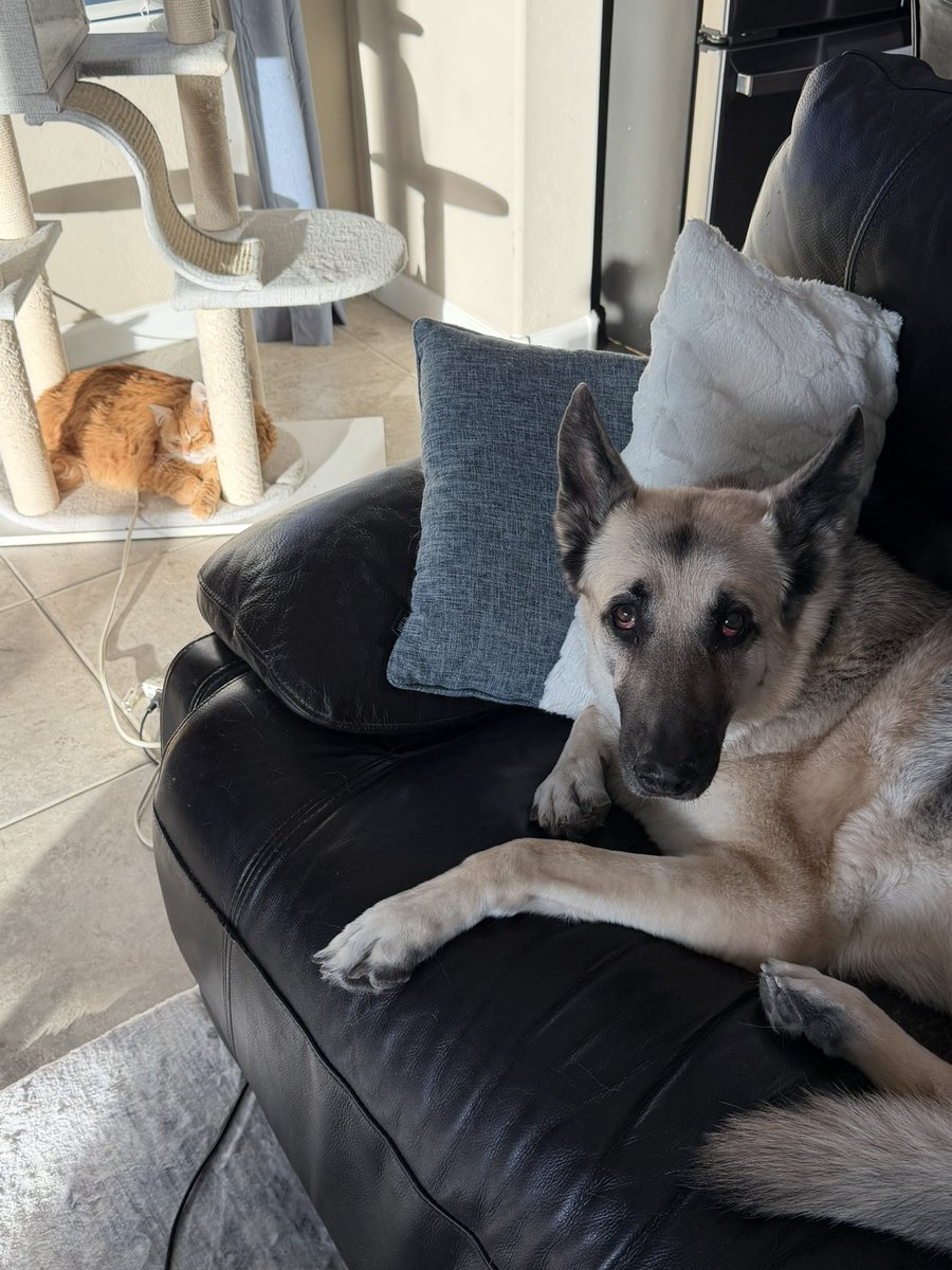 Andrew McCarthy tweet media