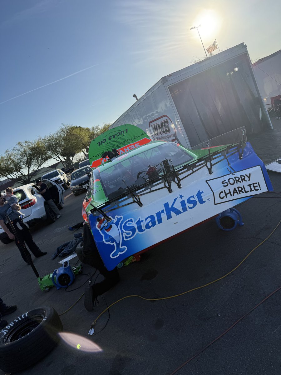 Samantha Busch tweet media