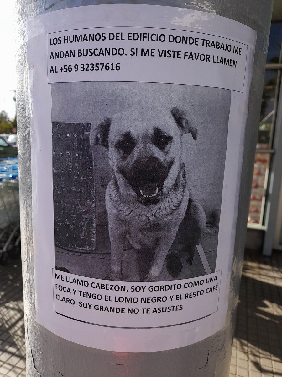 🎶🐕🐈‍⬛Cesarín Djarin🎸🇮🇹🌈 tweet media