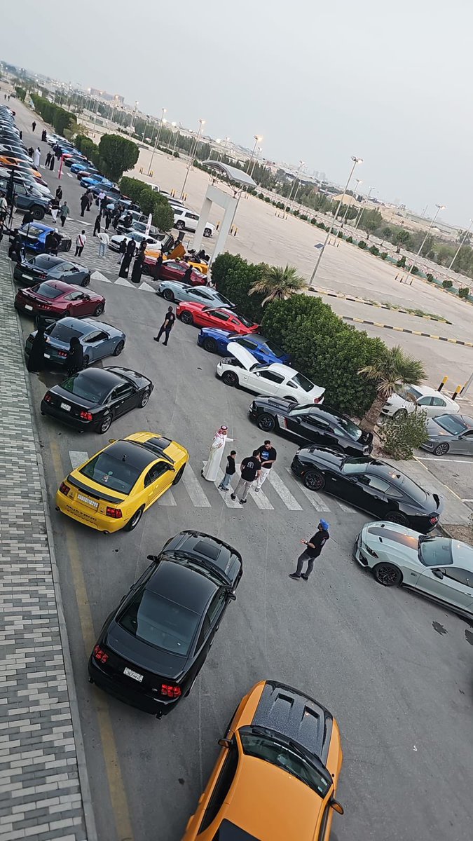 MustangClubKSA1's tweet photo. برعاية كريمة من شركة توكيلات الجزيرة للسيارات، ملتقى الإفطار السنوي لنادي موستانج السعودية أقيم في مركز مهارة للكارتنق بالمنطقة الشرقية بحضور مميز ومشاركة مميزة من بعض أعضاء موستانج البحرين الغالين.

@AlJazirahFord 
#الجزيرة_فورد 
#فورد https://t.co/0vDBu6PvSA