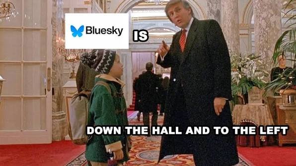 Intricate Zebra 🦓 tweet media