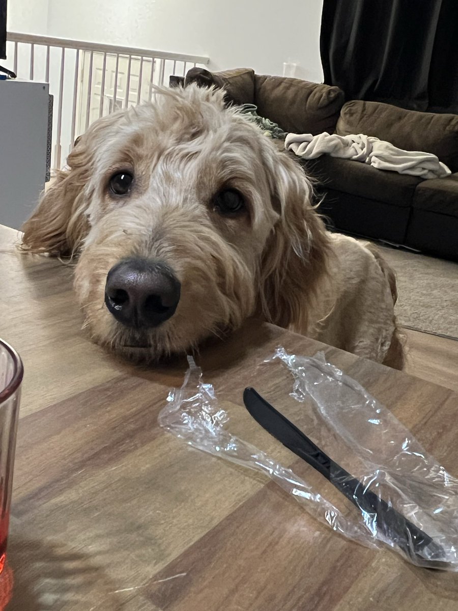 Queen Satoshee tweet media