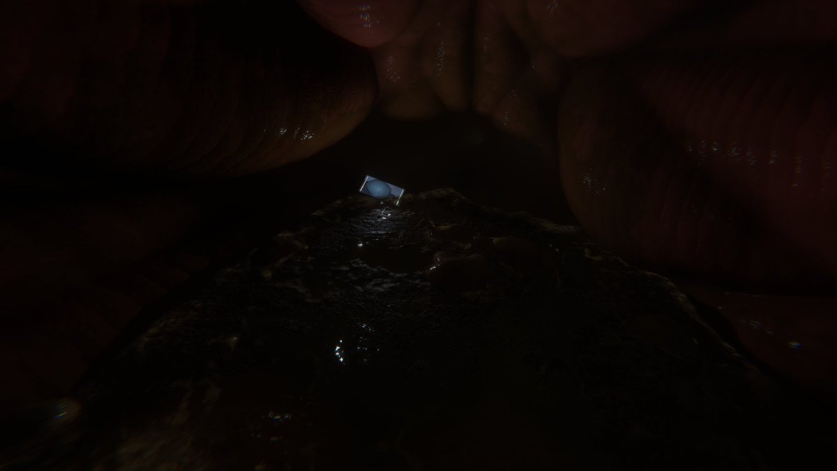 SharkstuffNSFW tweet media