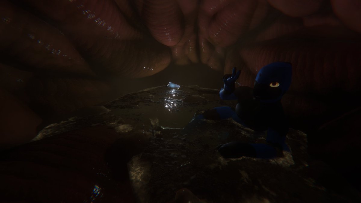 SharkstuffNSFW tweet media