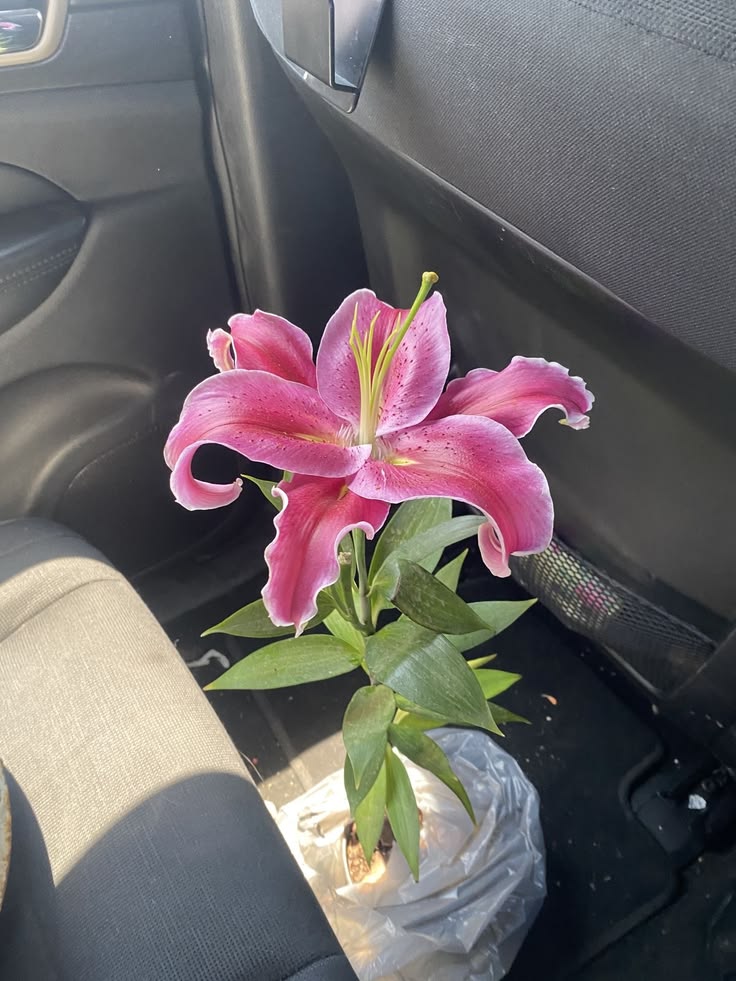 Nooni (@chaarpaai) on Twitter photo 