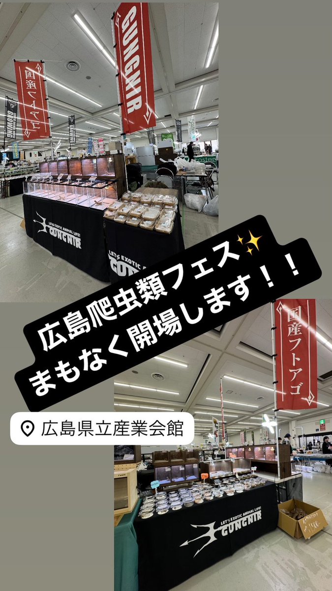 GUNGNIR ANIMALS tweet media