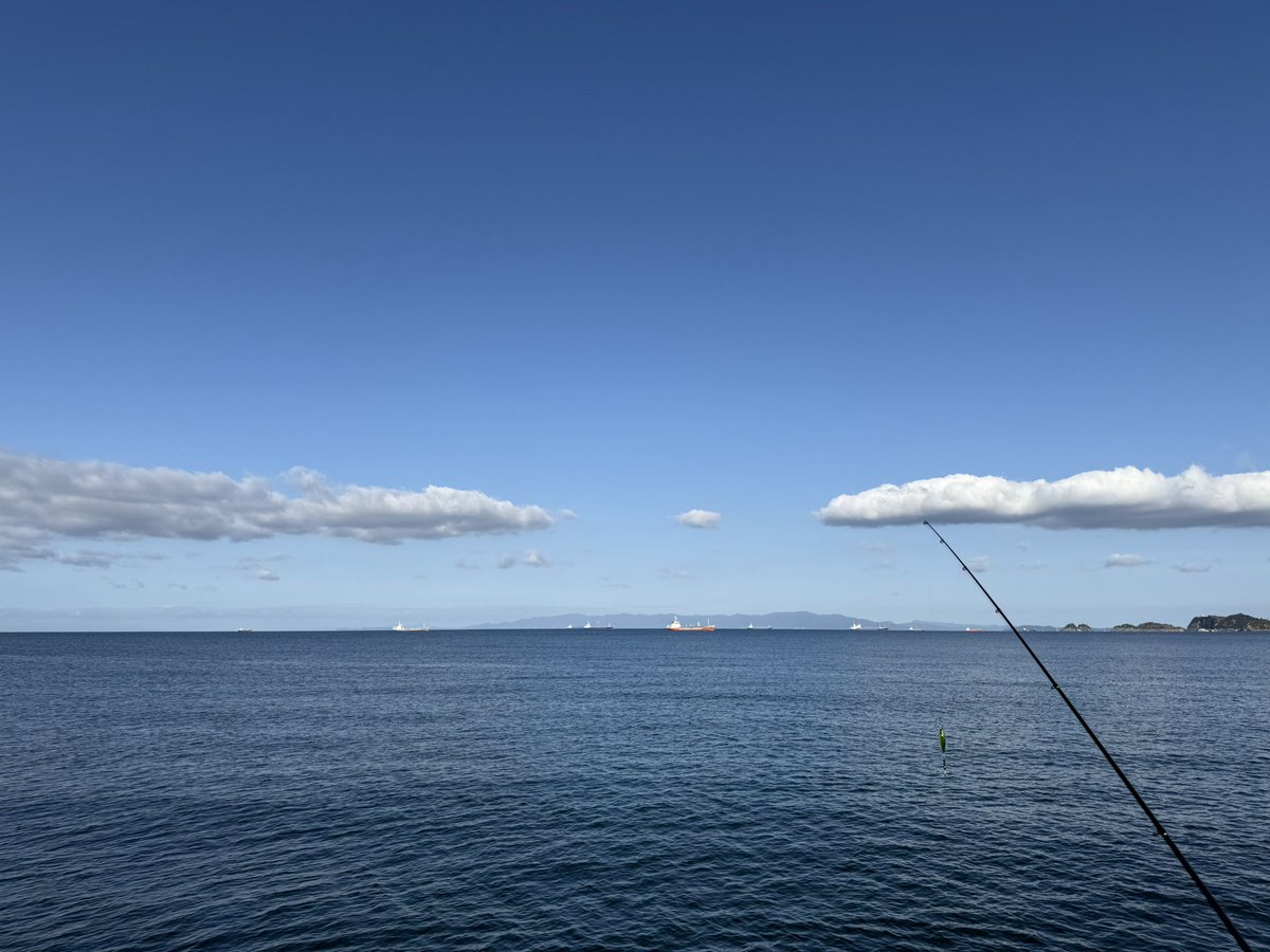 н i м a--☆∩'ω'∩ tweet media