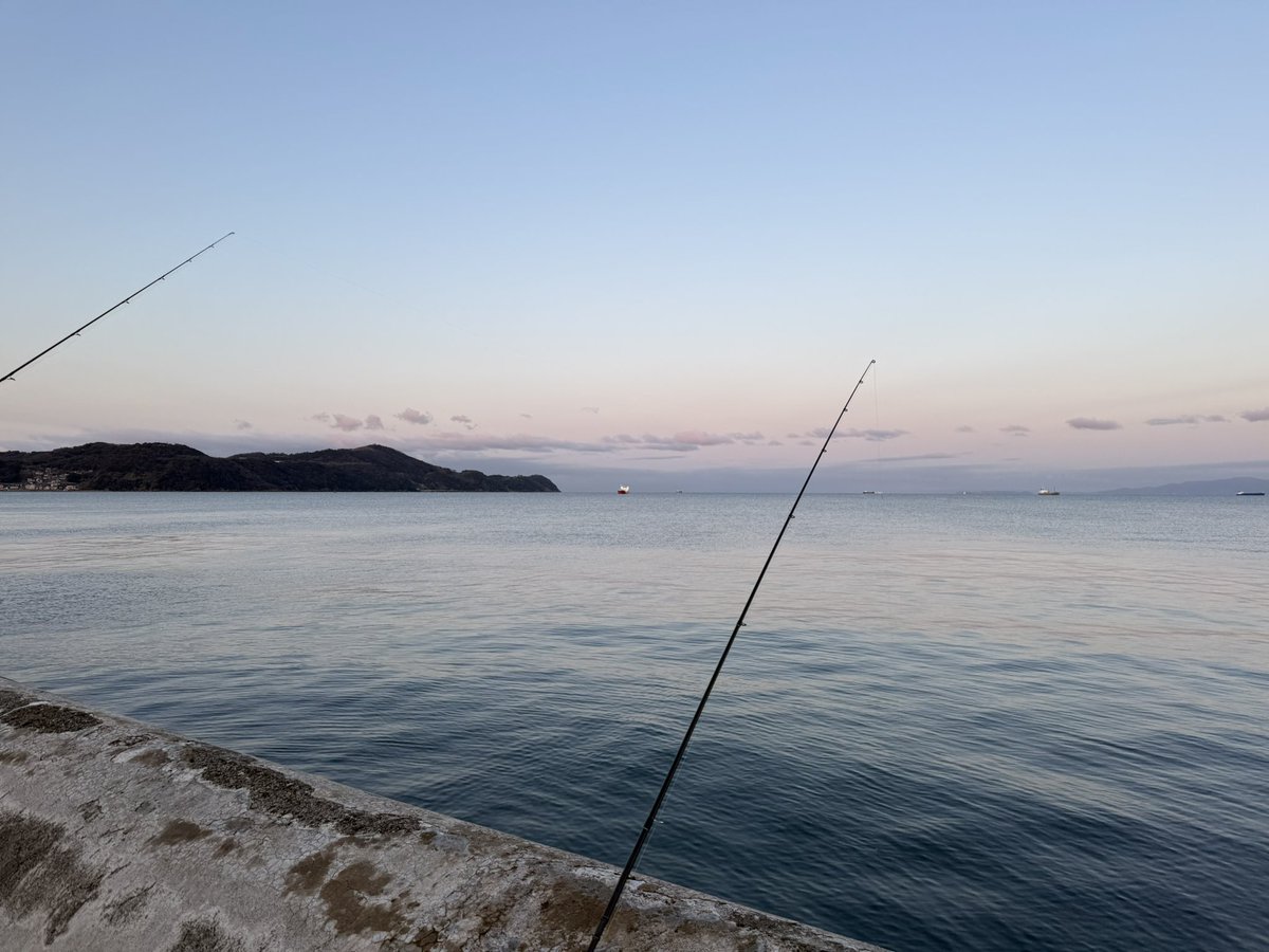 н i м a--☆∩'ω'∩ tweet media