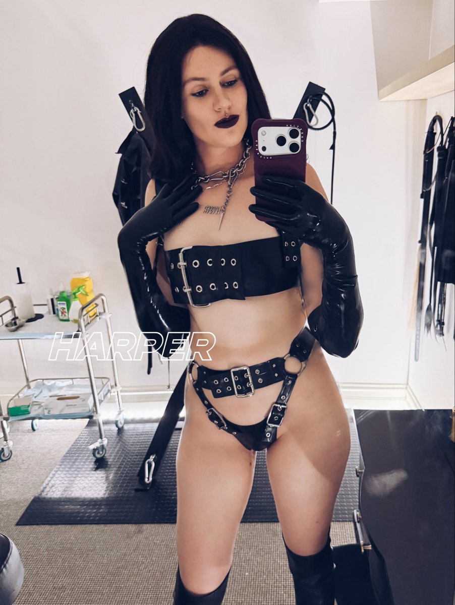 Miss Harper tweet media