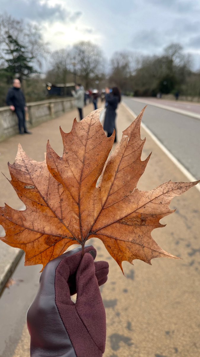 زهرة tweet media