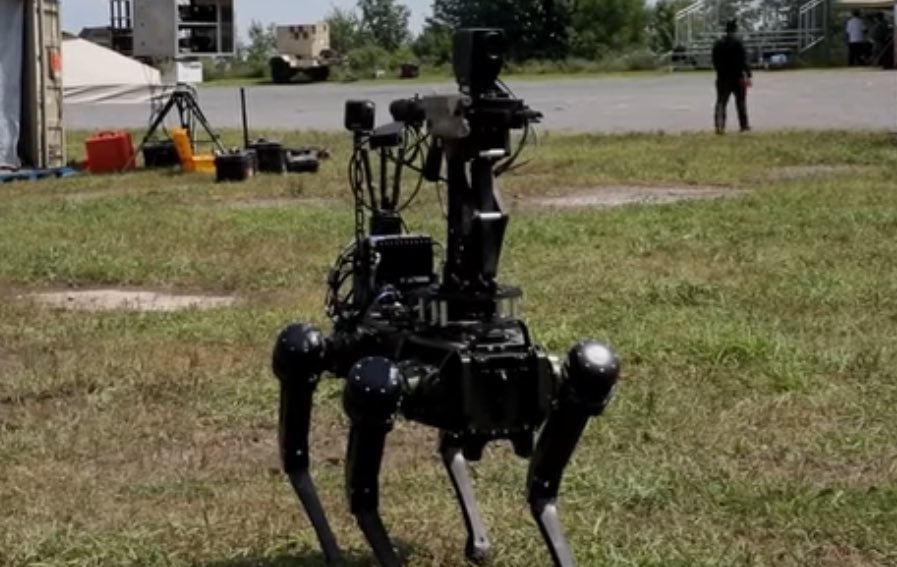 rod almighty tweet media