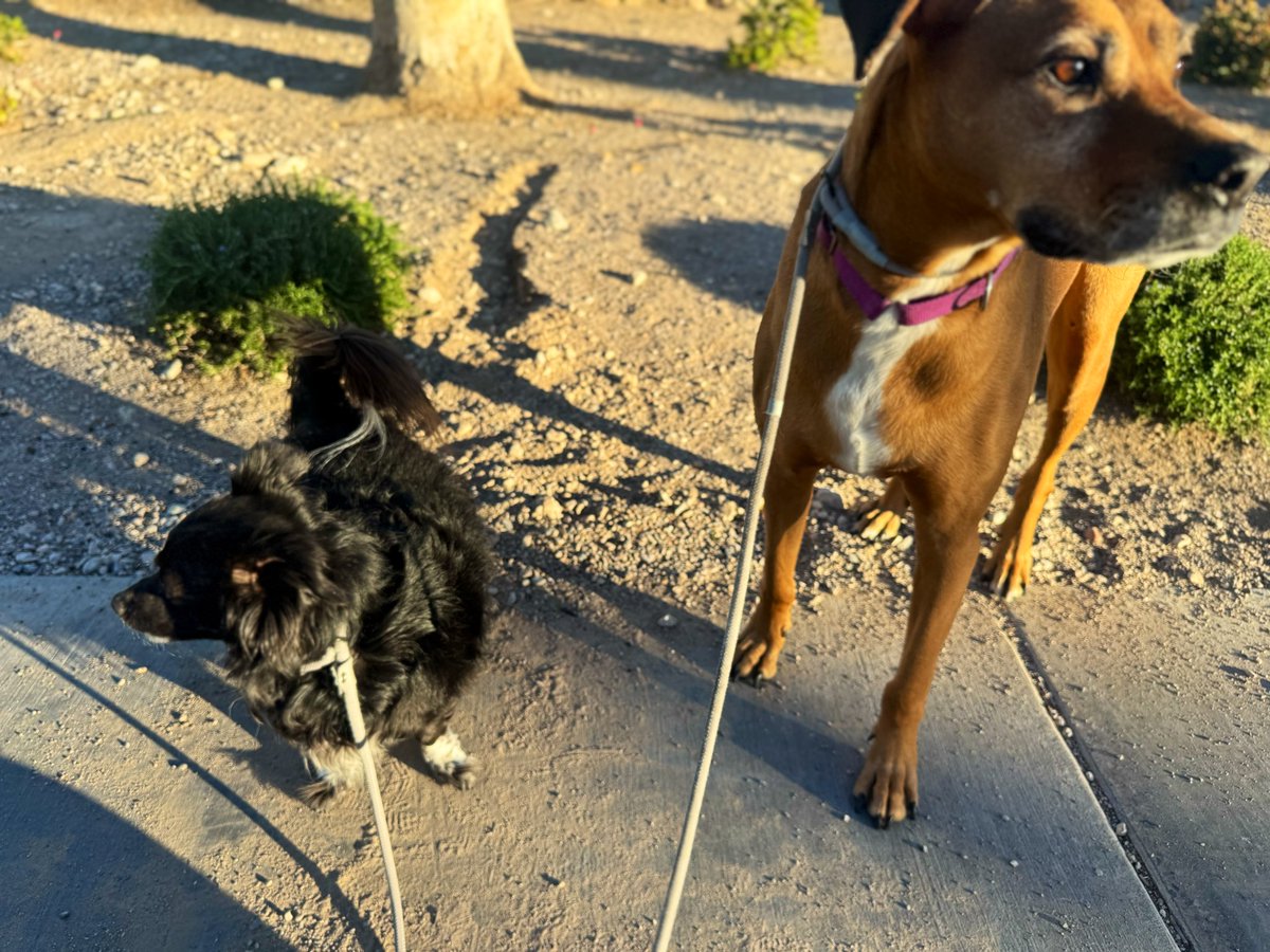 Doug Maverick tweet media