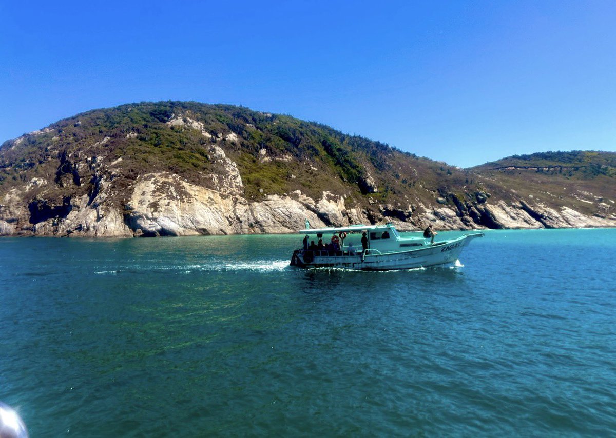 Miss Ofertas by Vero 🛒🛍️ tweet media