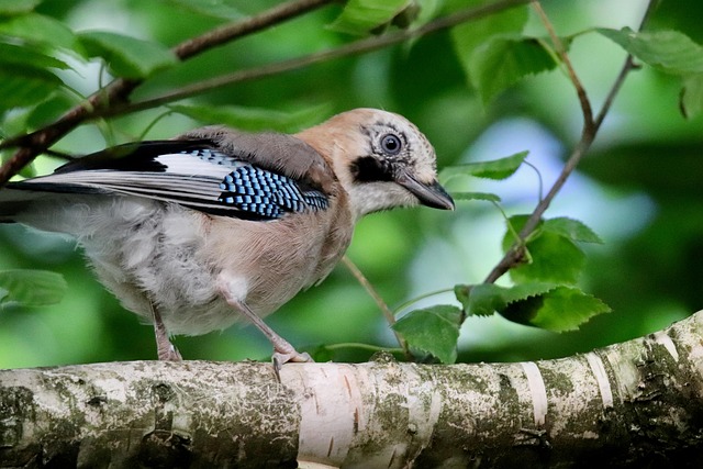 Jessica Hamilton tweet media