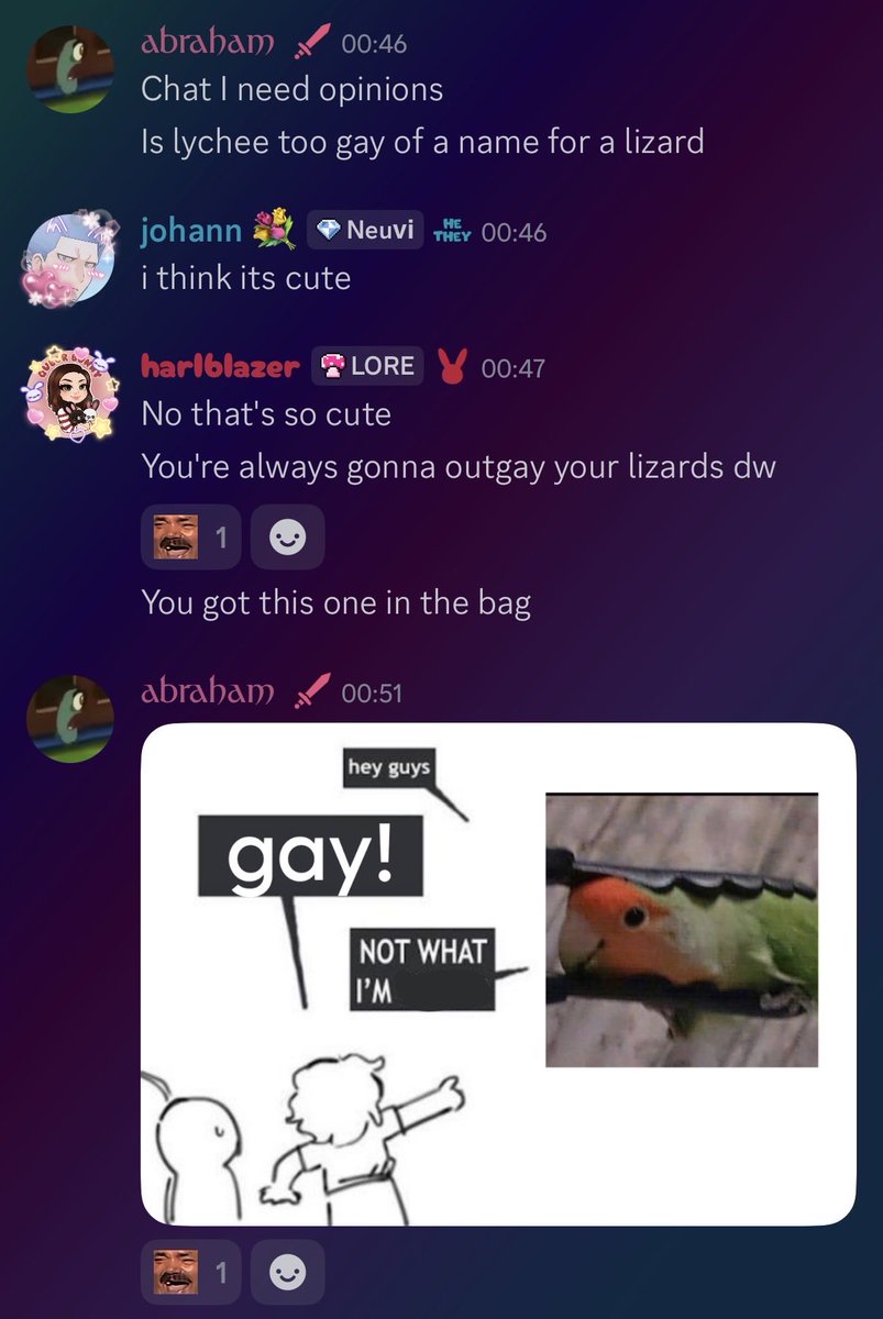 harleybun 🐰 tweet media