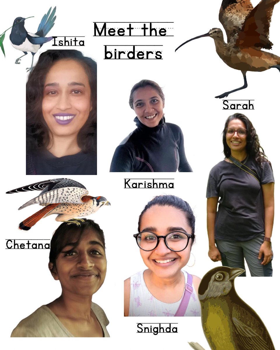 SpidersATSea's tweet photo. Somewhere between the morning light and the arithmetic of counting birds, this #GBBC2026, the five of us were in different cities but looked up at the same sky. All connected by the practice of noticing and paying attention. https://t.co/ounNctqDgq https://t.co/CdDQViPuqc