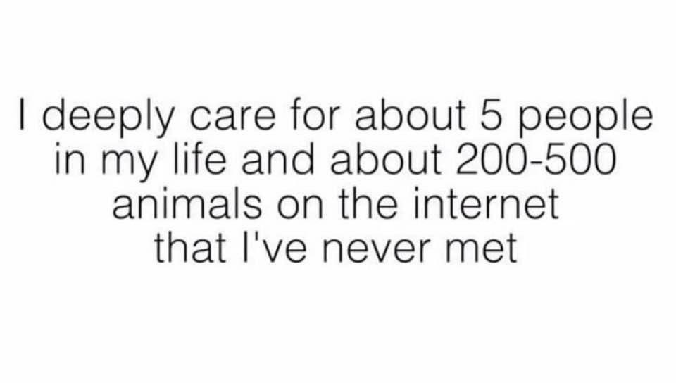 Kristen Kaczprowicz (@kickassautismom) on Twitter photo 