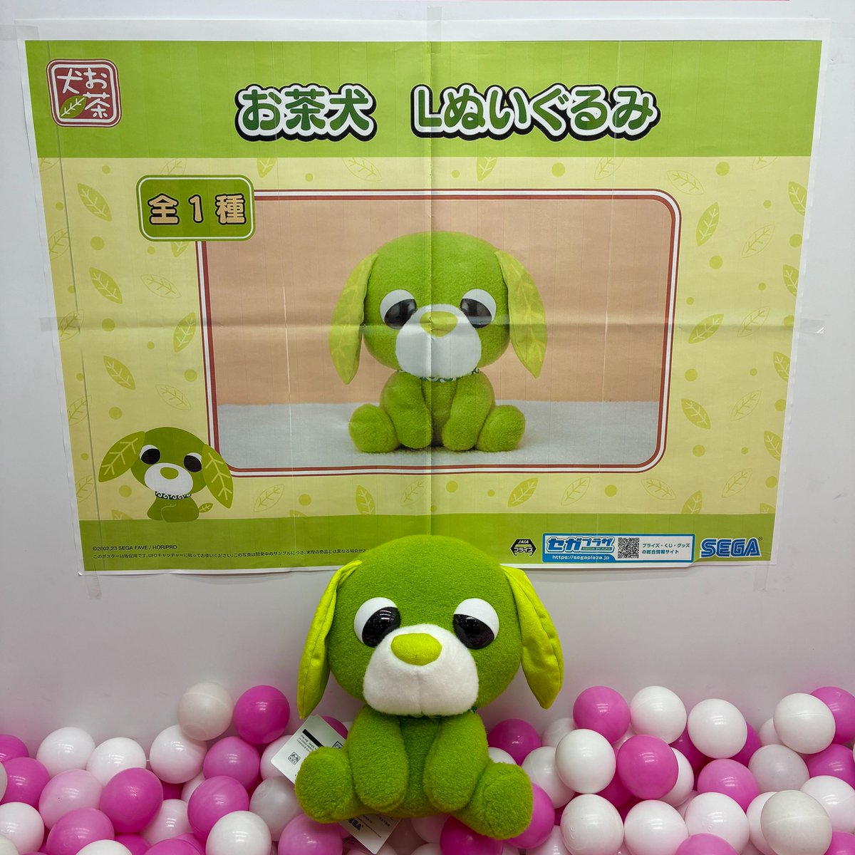❣本日の新景品❣ ろんと座った姿がたまらない「お茶犬」リョクのL