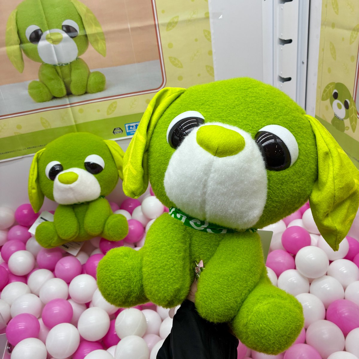 ❣本日の新景品❣ ろんと座った姿がたまらない「お茶犬」リョクのL