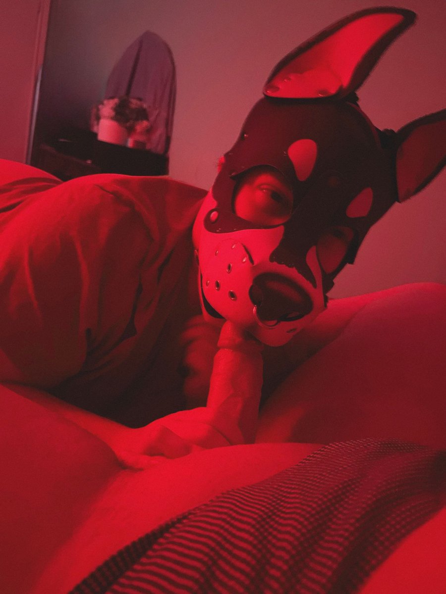 ✨️👻✨️ tweet media