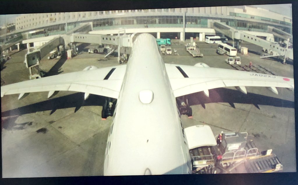 旅好き_鉄道飛行機好き tweet media