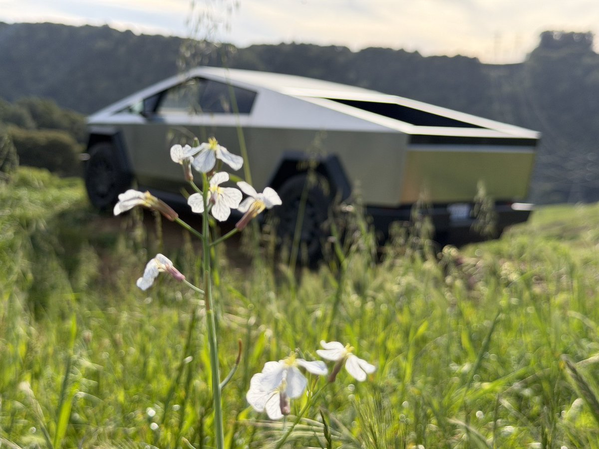 Jason Discher 🇺🇸 tweet media