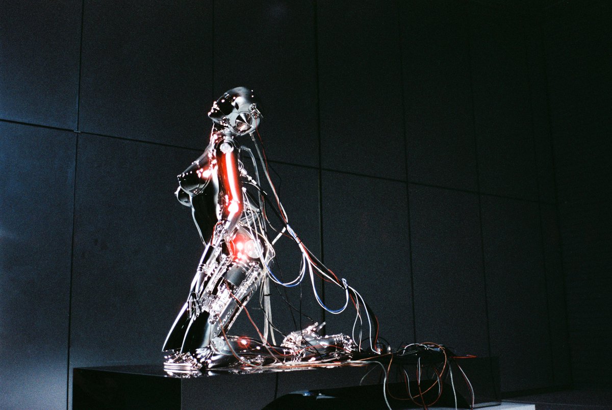 Venera Kate ❋ SF tweet media