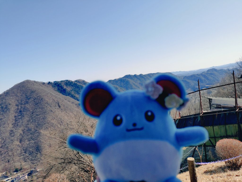 まりまるマリリ tweet media