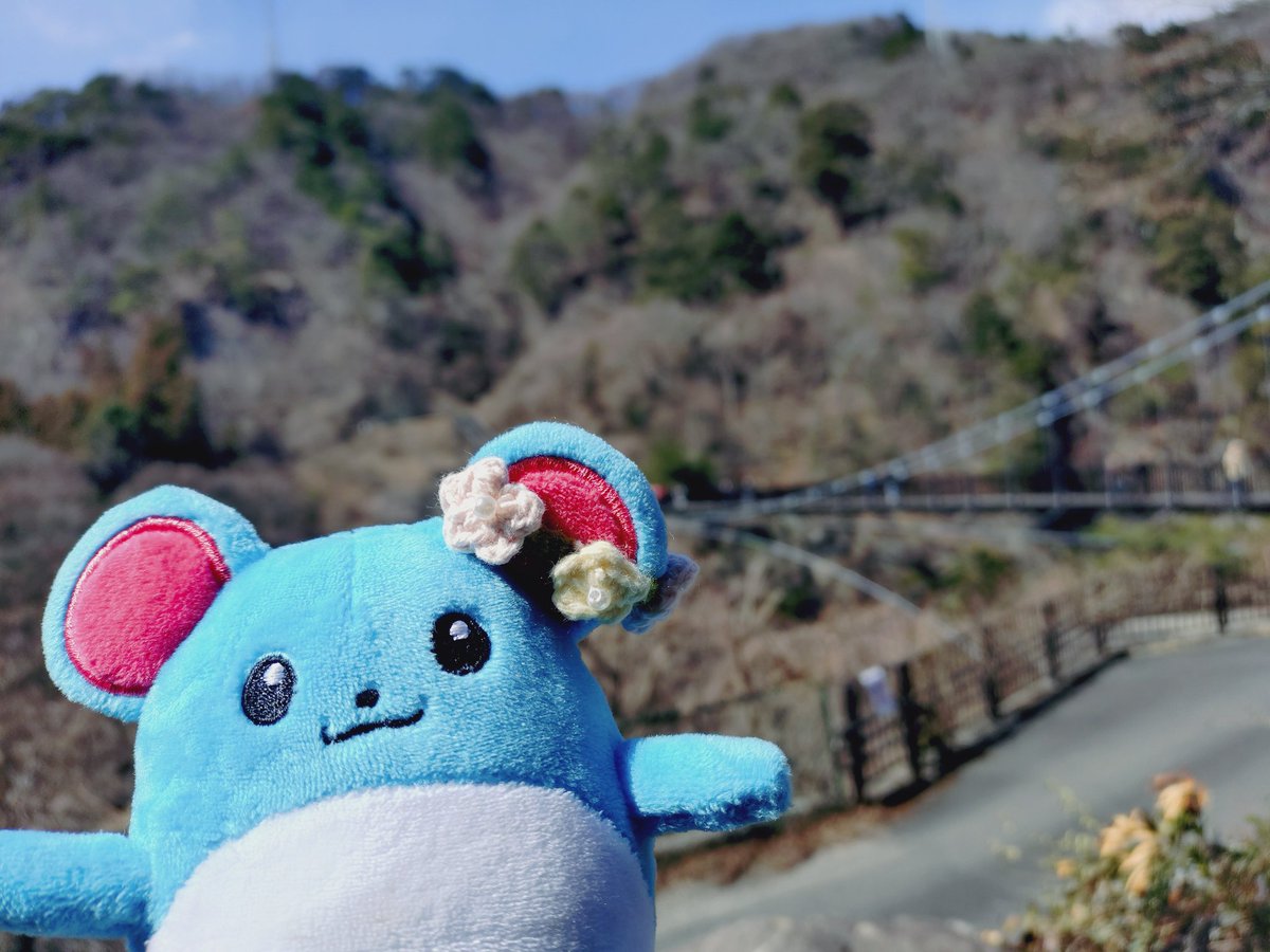 まりまるマリリ tweet media