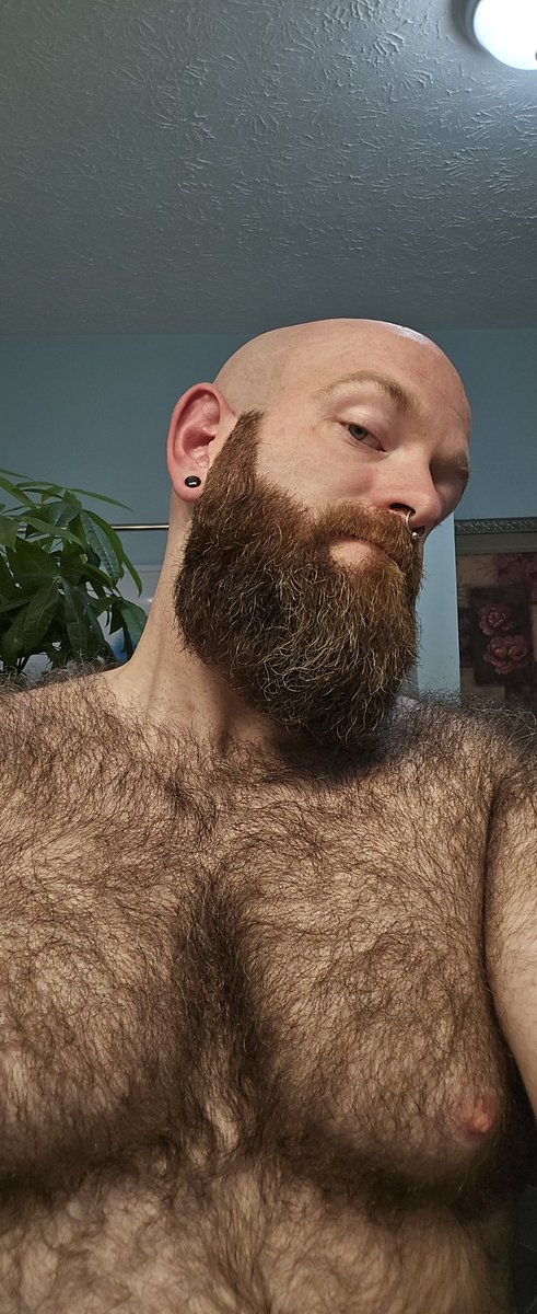 HairyHyperion tweet media