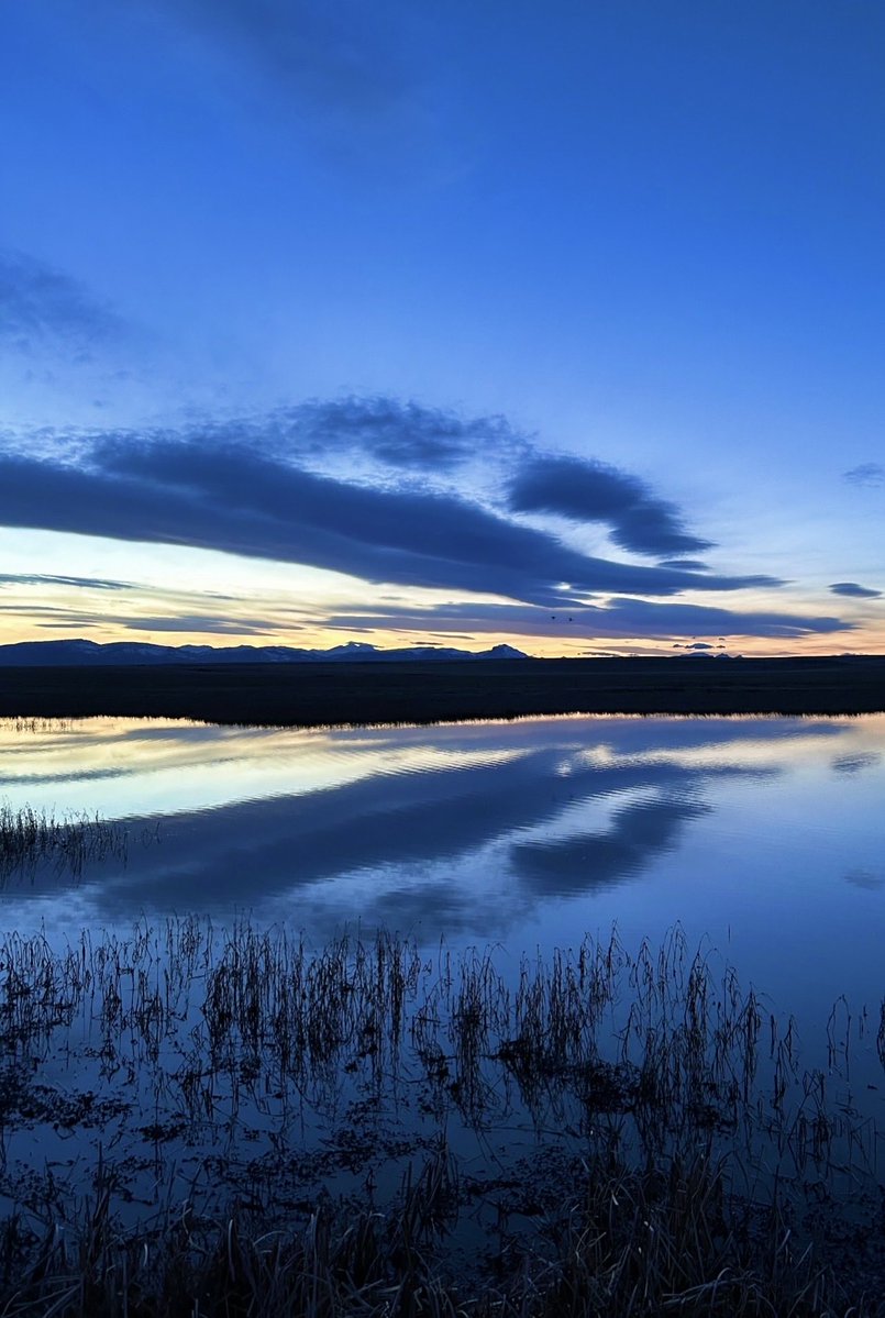 Brent Bateman tweet media