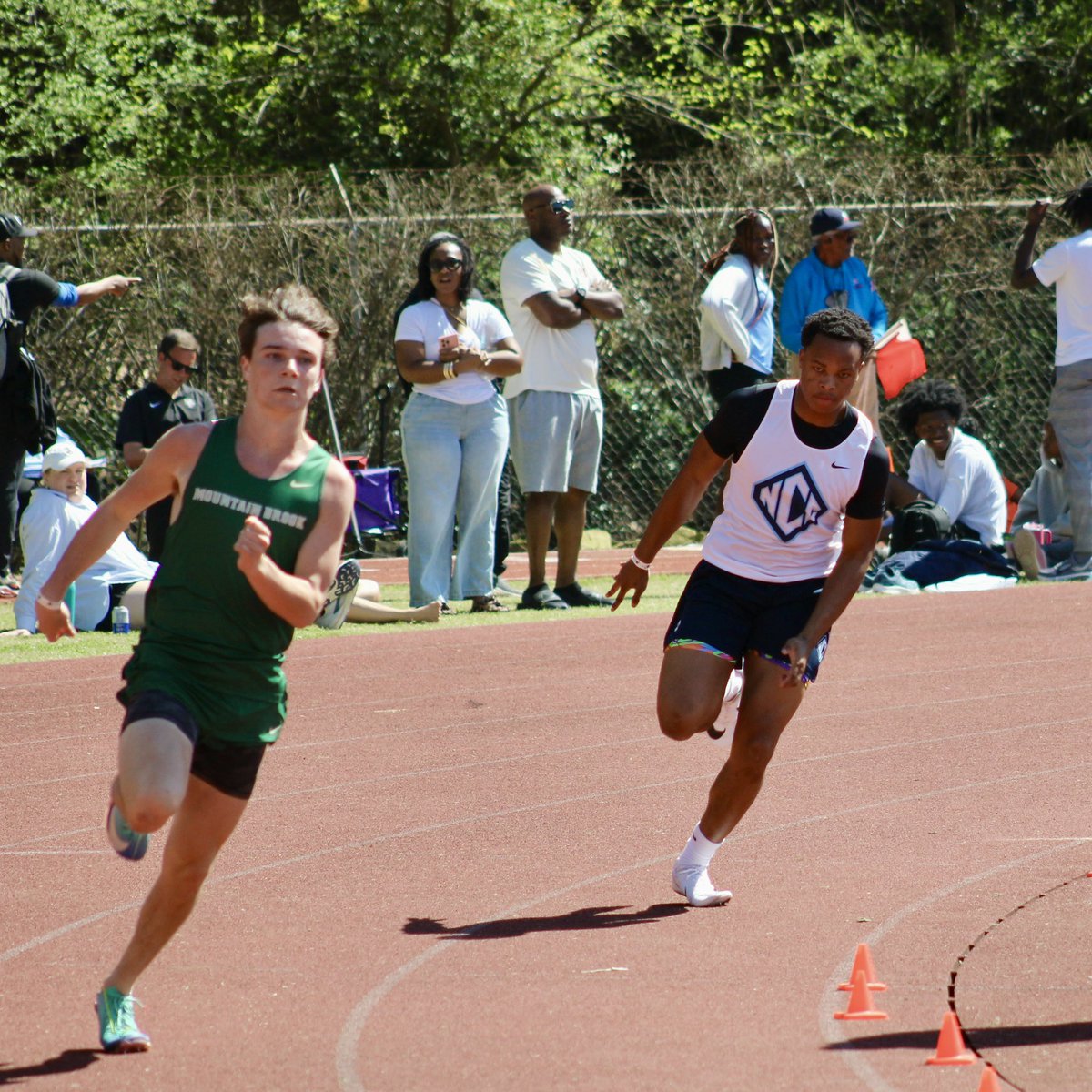 Tristan L. Carter tweet media