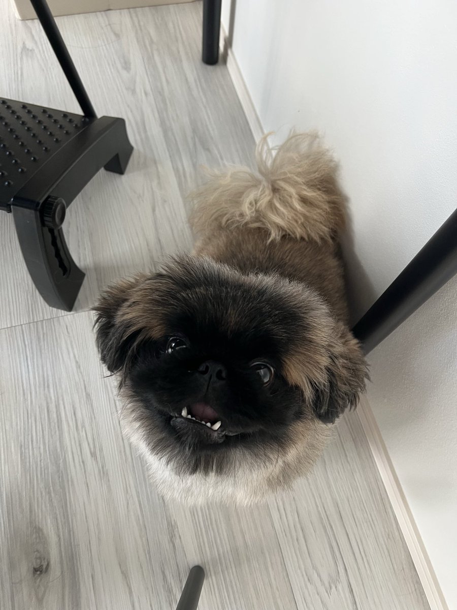 長嶋朋希 Tomoki Nagashima tweet media