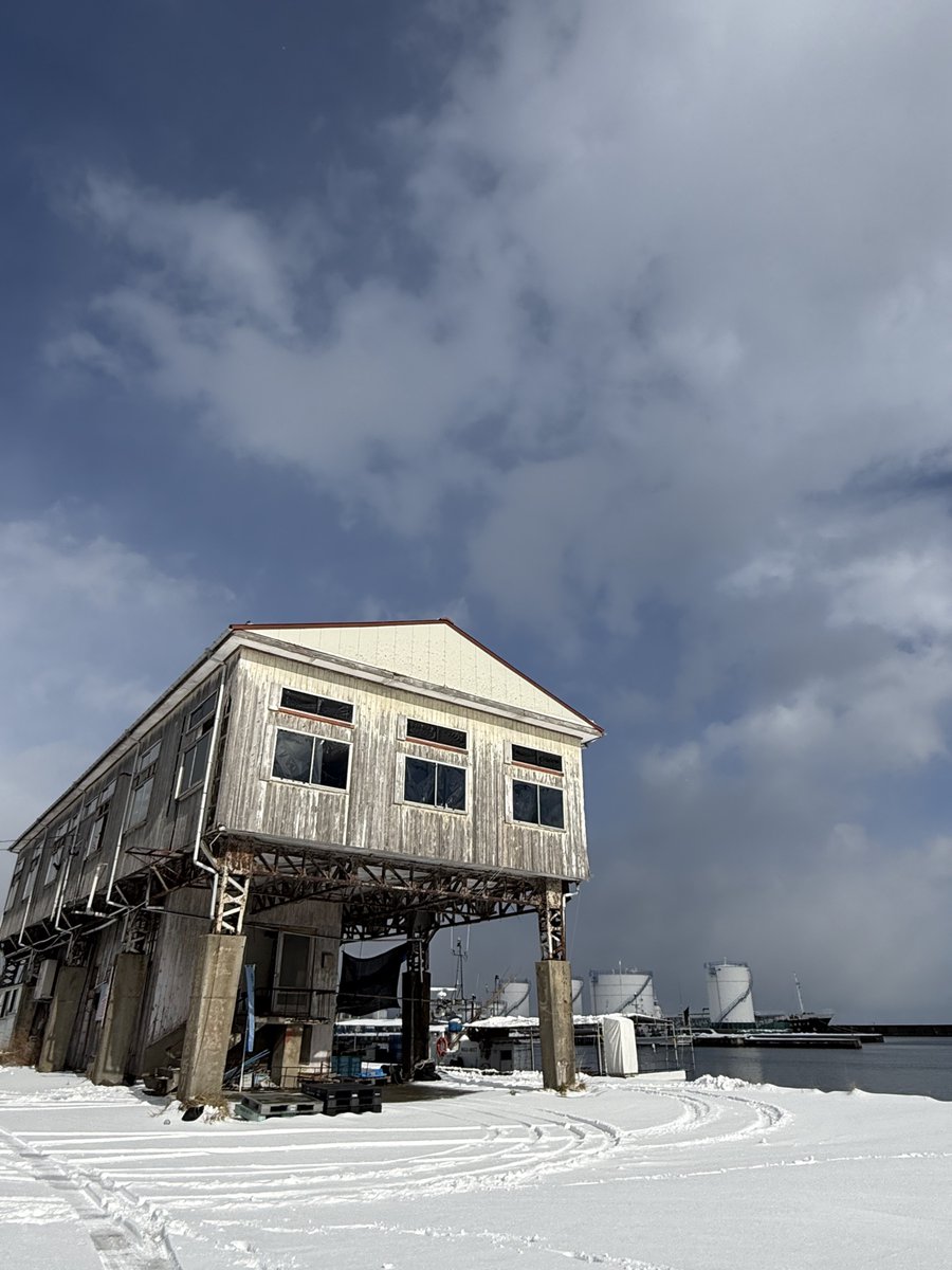 さどの島銀河芸術祭 tweet media