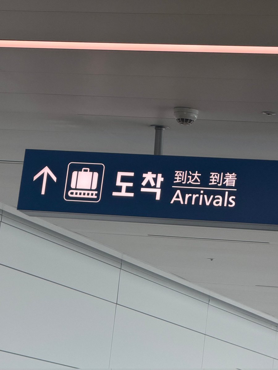 XLOV GLOBAL tweet media