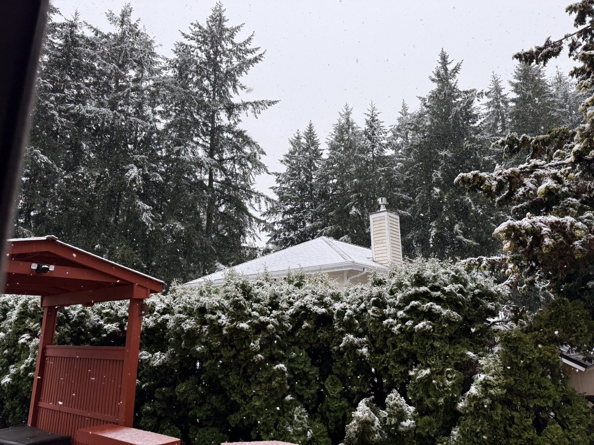 Dan Hoder tweet media