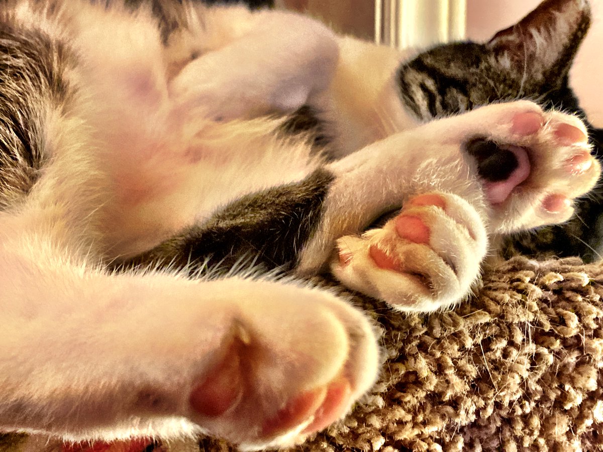 Lorna Yard ✪ tweet media